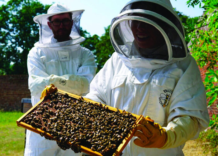 Barry’s Hatfield honey - Gascoyne Estates