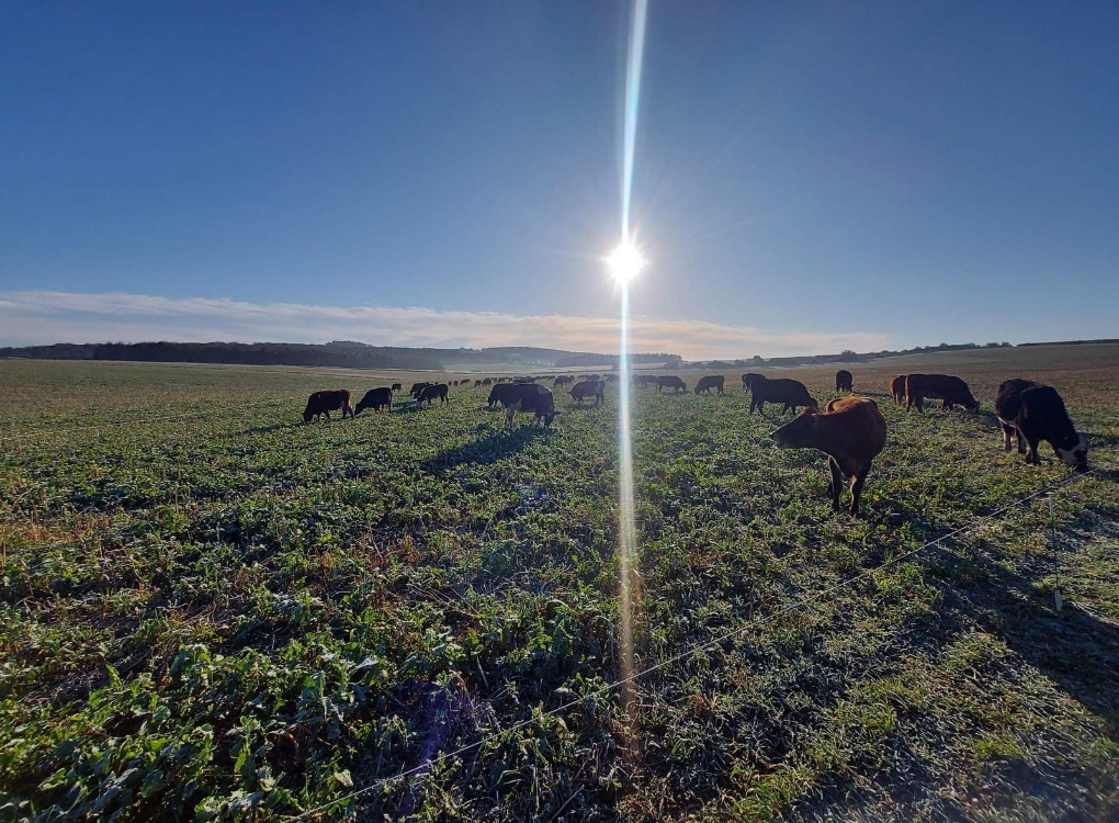 Land Management - Gascoyne Estates